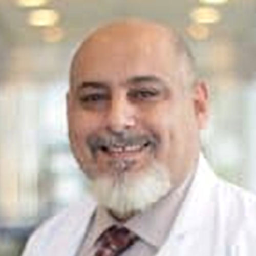 Prof. Moamar Al-Jefout